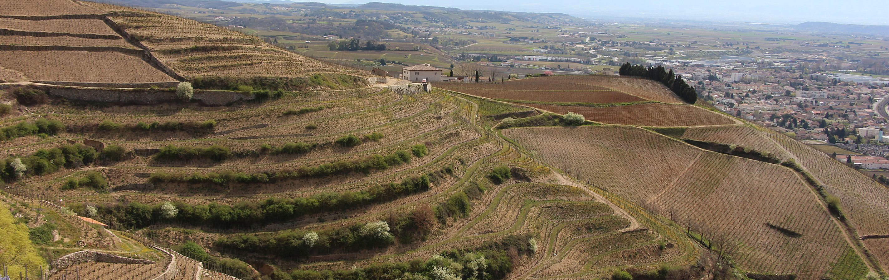 2013 Hermitage Rouge - The Source 2013 Hermitage Rouge - The Source