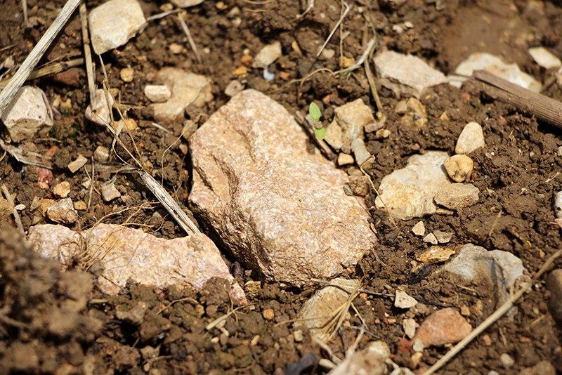 Vineyard_Soils_Caillerets