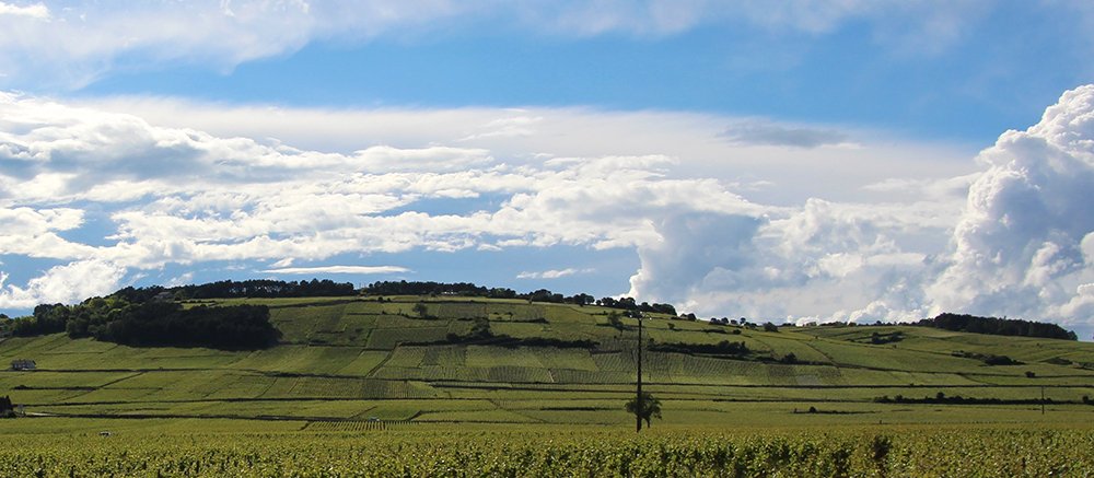 Vineyards_Burgundy