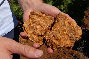 Granite rock Itata Valley