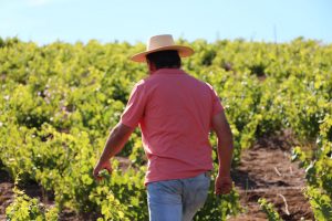 Itata Valley Chile