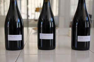Pedro's wines before bottling