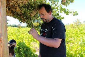 Pedro thinking about Leo's wines