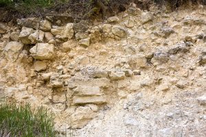 Soil in Chablis