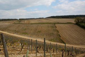 Christophe Vineyard