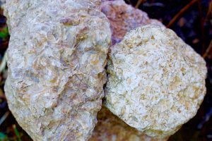 Kimmeridgian Rocks