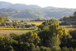 Seguret France