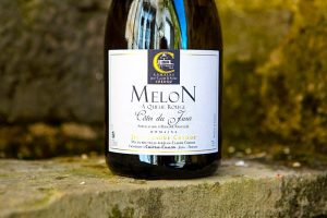 Cotes Jura Blanc Melon