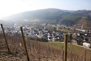 Vineyards Von Beulwitz