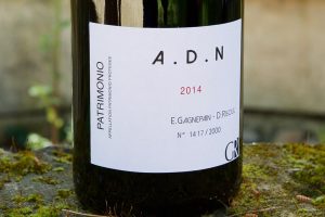 ADN Patrimonio Red