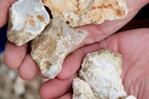 Kimmeridgian rocks in Sancerre