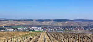 Chablis Grand Crus