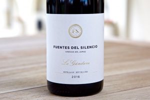 Fuentes del Silencio La Gandara
