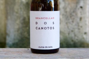 Brancellao