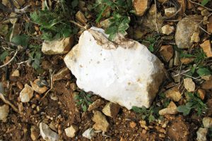 François Crochet vineyards contain a mixture of limestone marl, chalk and flint.
