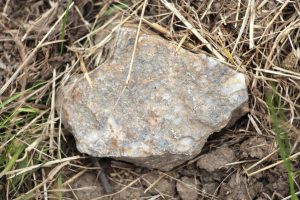 Vineyard rock from winemaker Patrick Baudouin in Anjou, Loire Valley, France