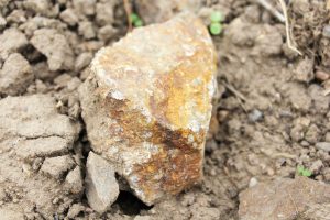 Rock from Patrick Baudouin's