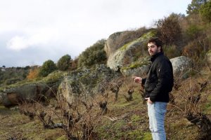 Arribas Wine Company