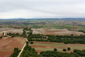 Cesar Fernandez vineyards