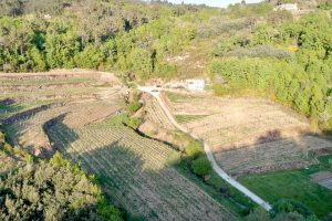 Fazenda Augalevada