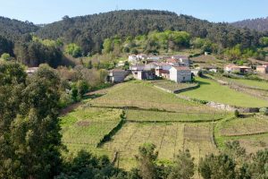 Fazenda Agrícola Augalevada