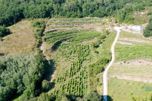 Fazenda Augalevada