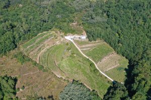 Fazenda Augalevada
