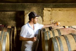 Wassenhaus cellar