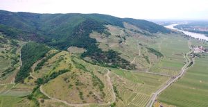 Tegernseerhof vineyard