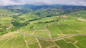 Thevenet vineyard