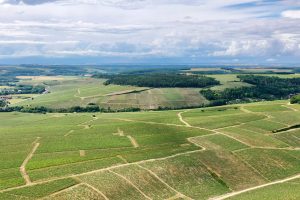 Chablis