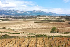 Rioja