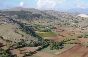 CantinArte’s 740m white wine vineyards