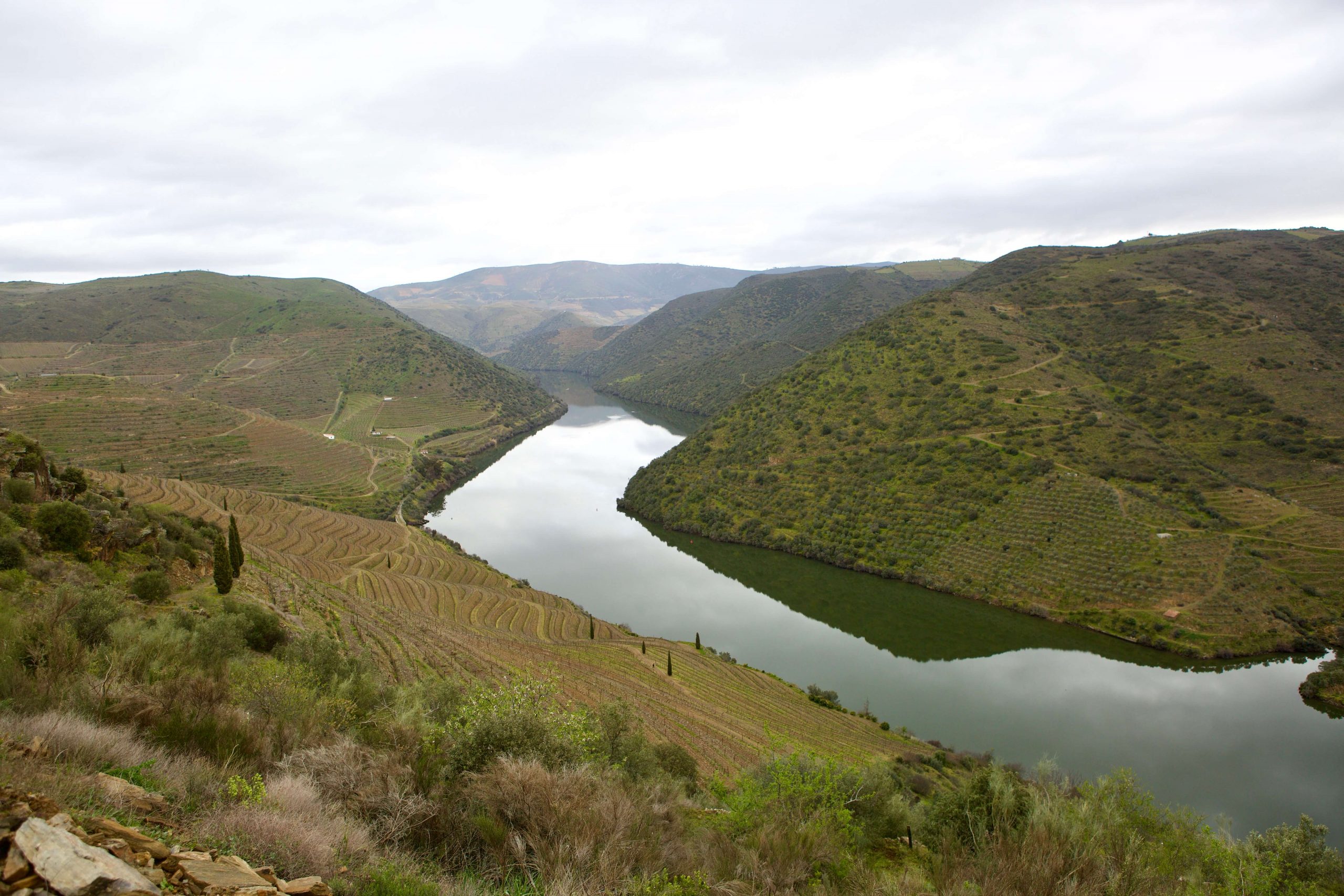 Douro Superior