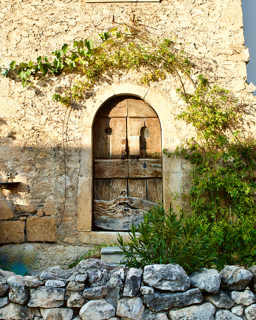 Rustic wooden door with greenery.
