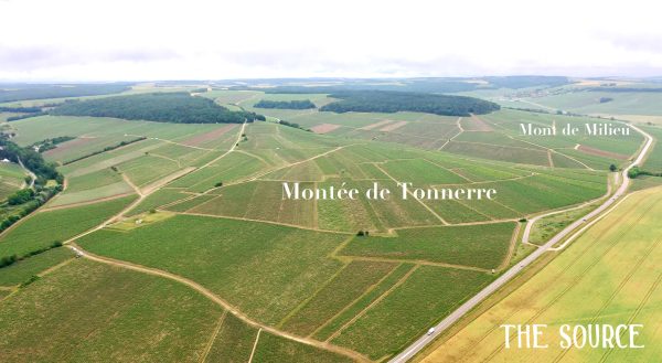 Vast vineyards under cloudy sky