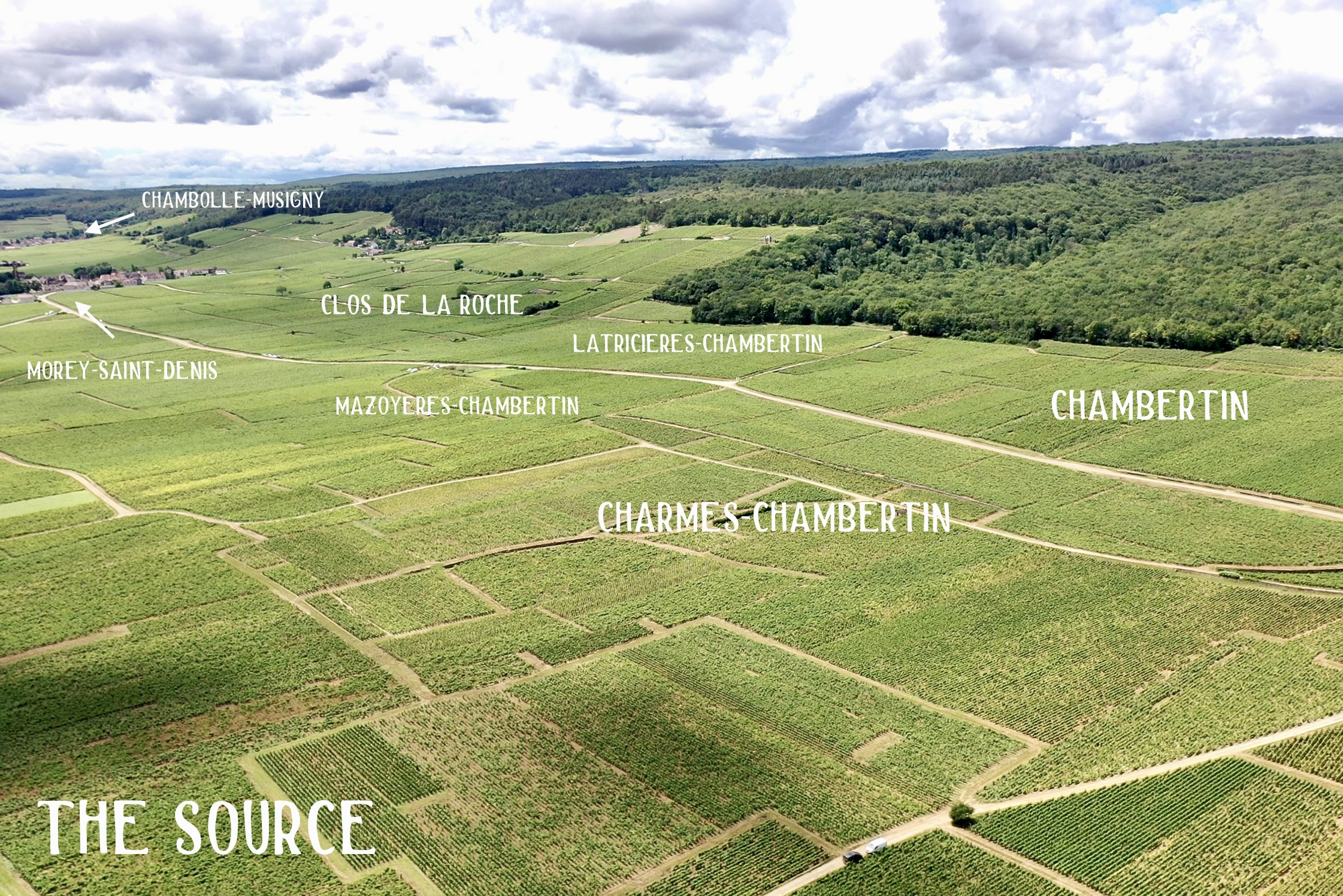 Vineyard landscape with wine labels