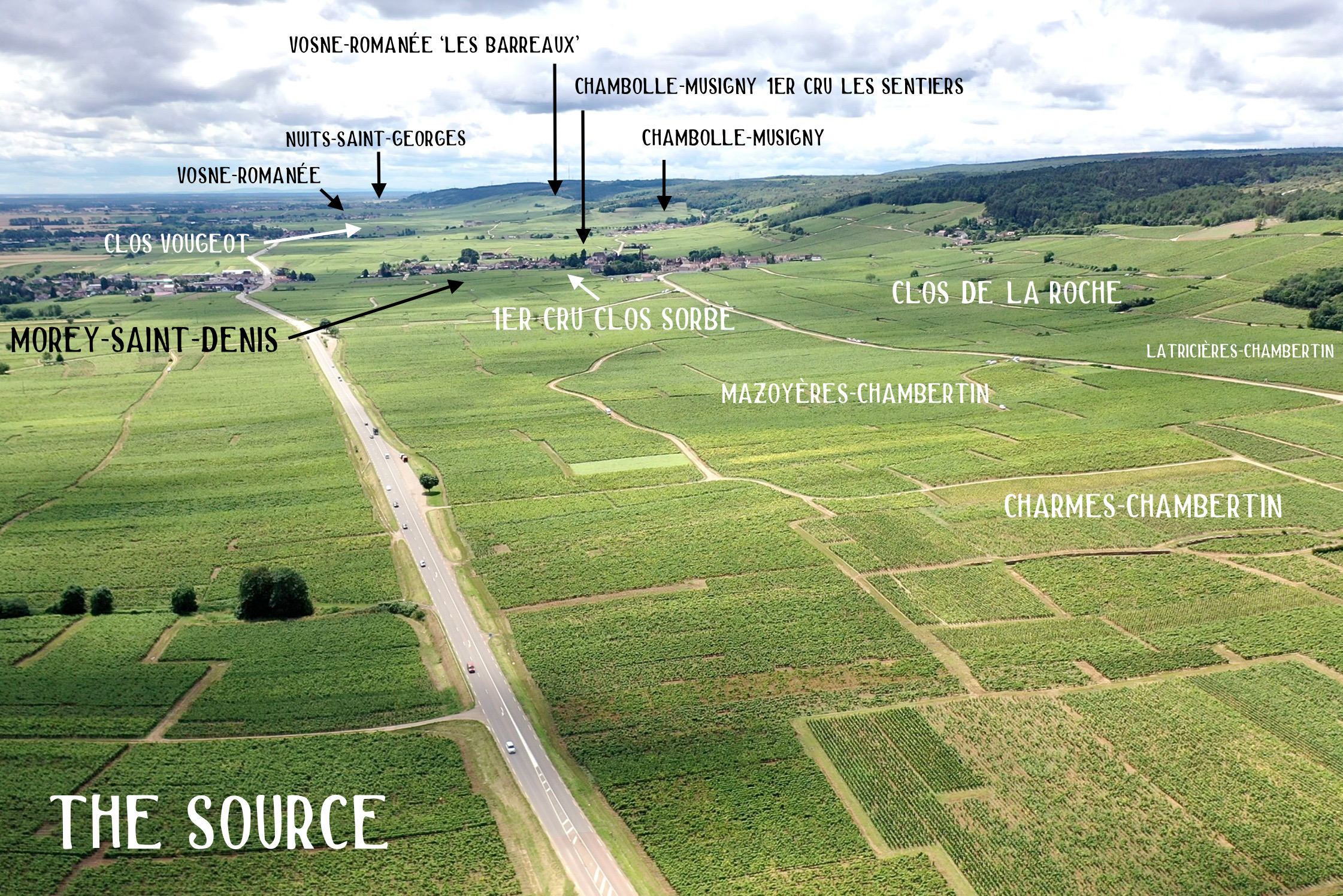 Vineyard landscape with wine appellations