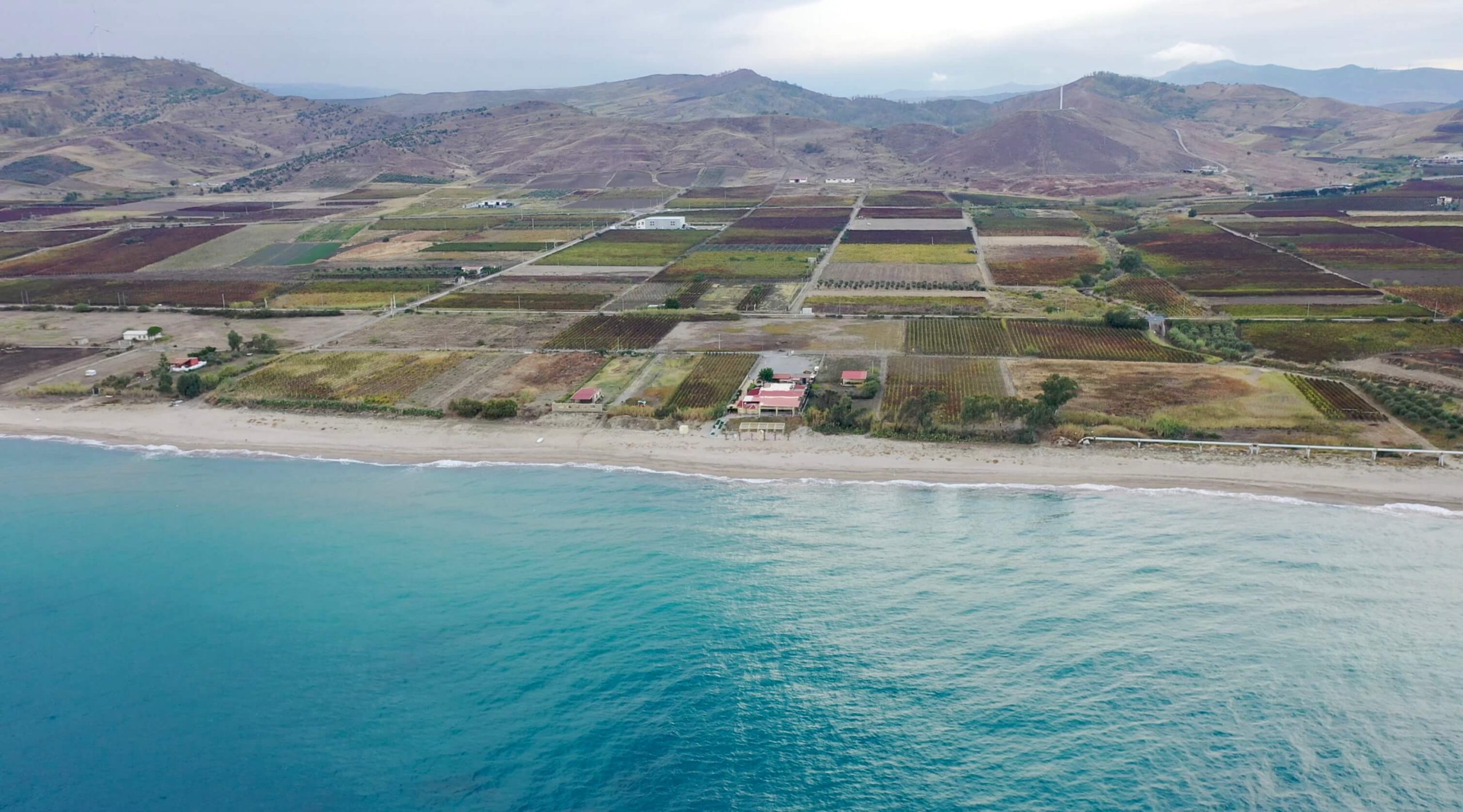 Coastal landscape with vineyards and beach