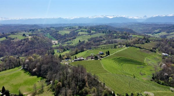 Green landscape with trees and the Pyrenees mountains