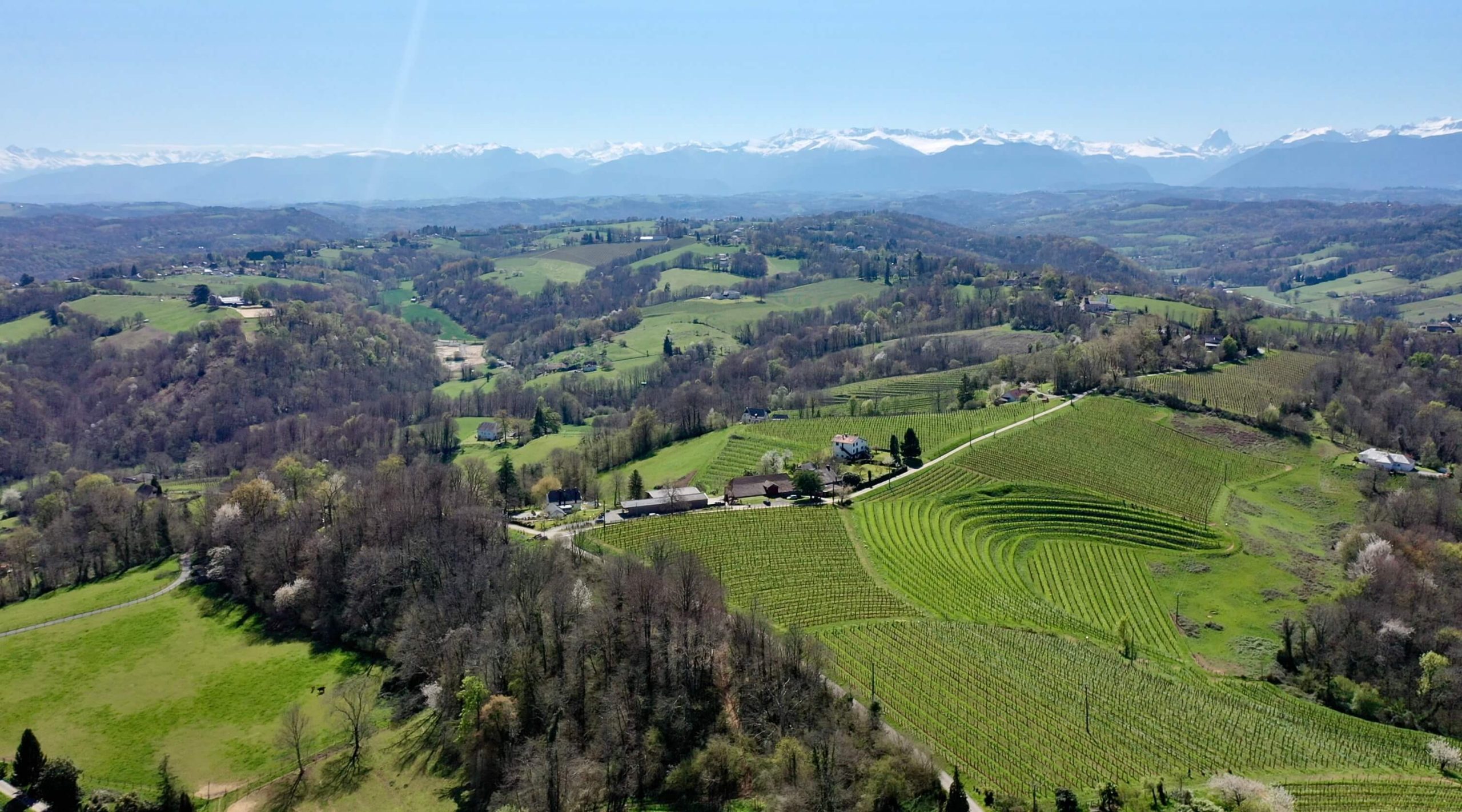 Green landscape with trees and the Pyrenees mountains