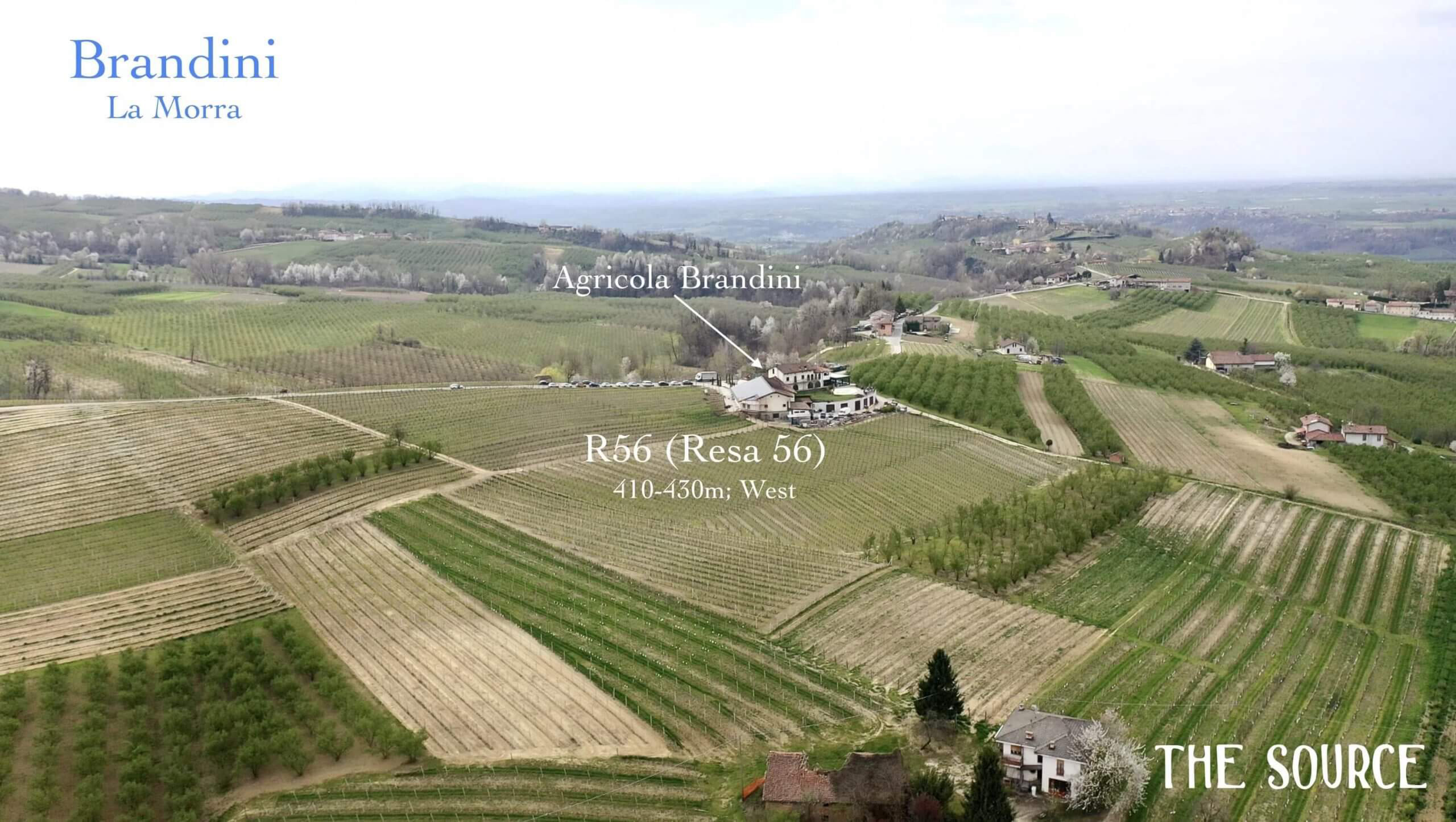 Aerial view of the R56 vineyard at Brandini