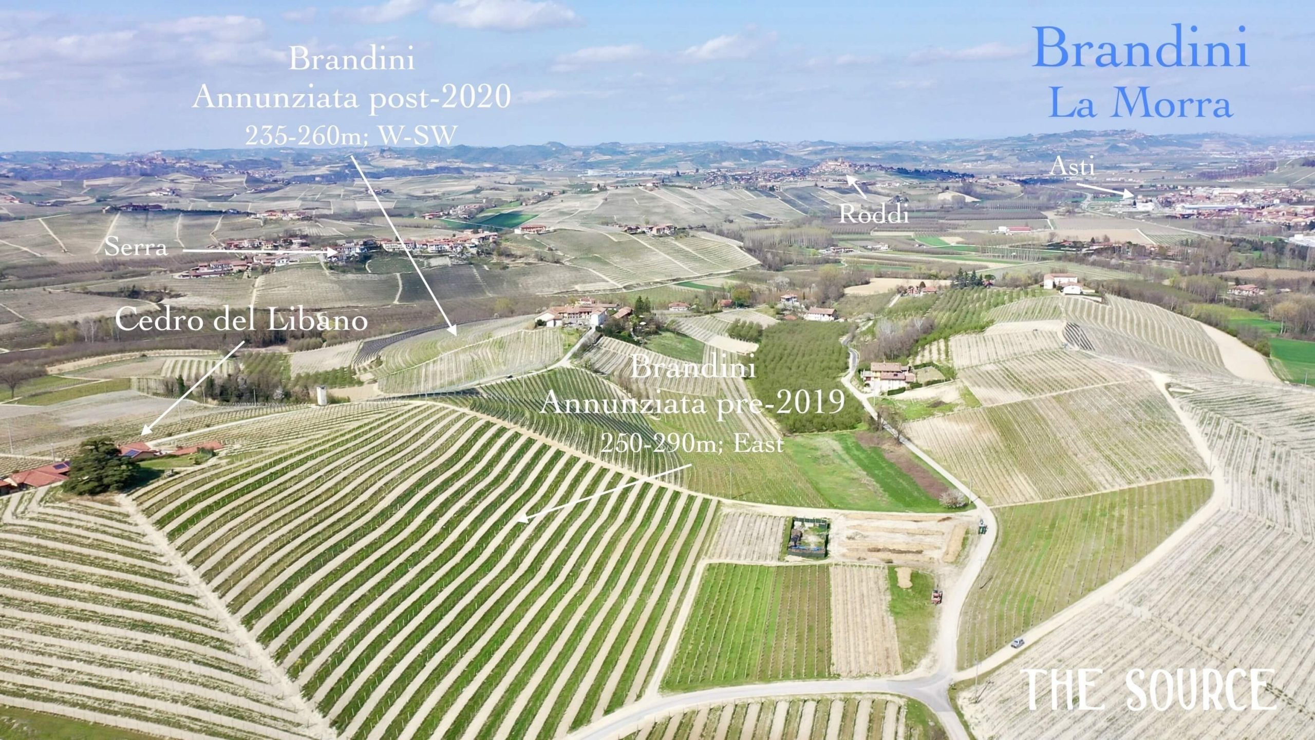 Landscape of La Morra with village and vineyards