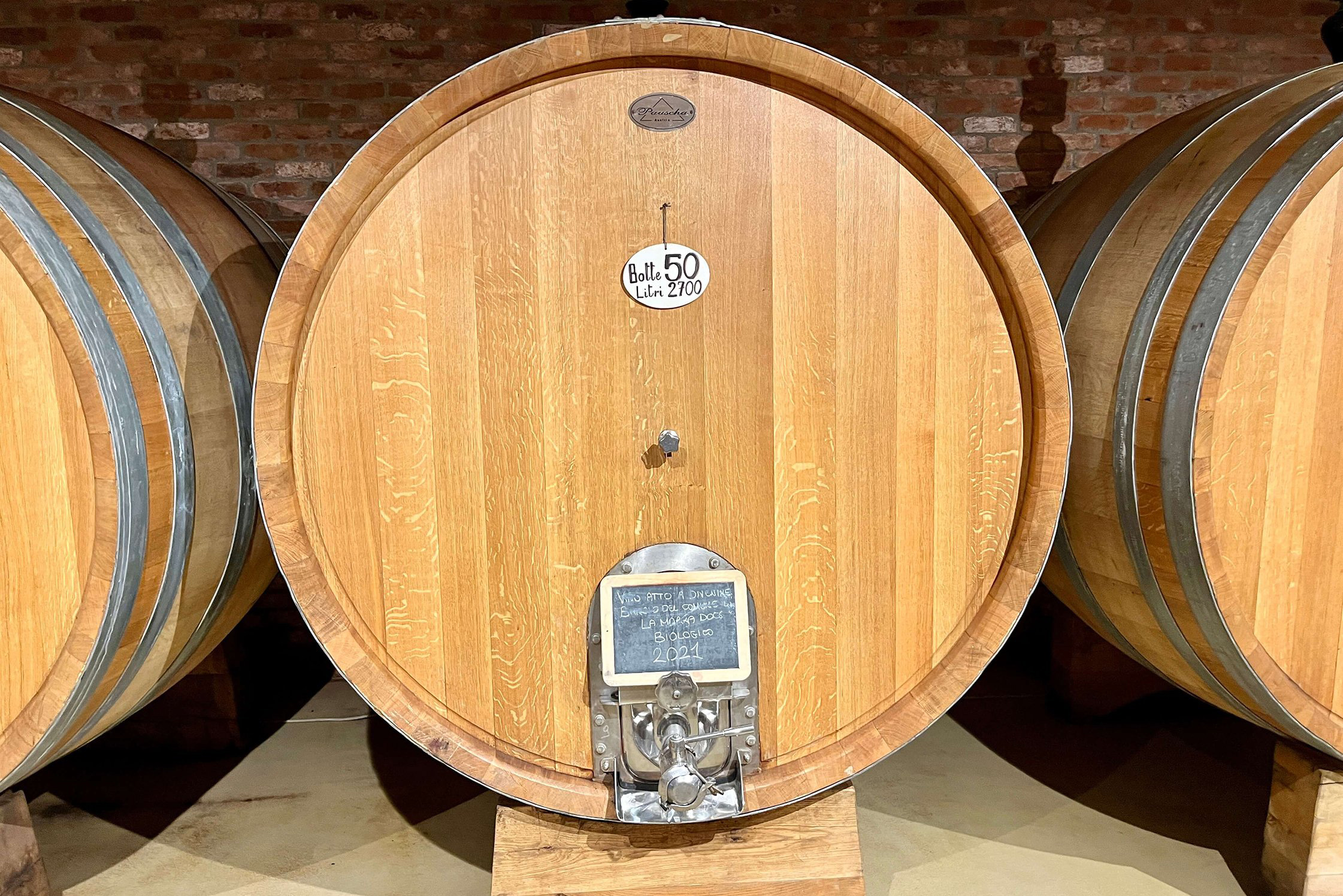 Large wooden barrels in the Brandini cellar