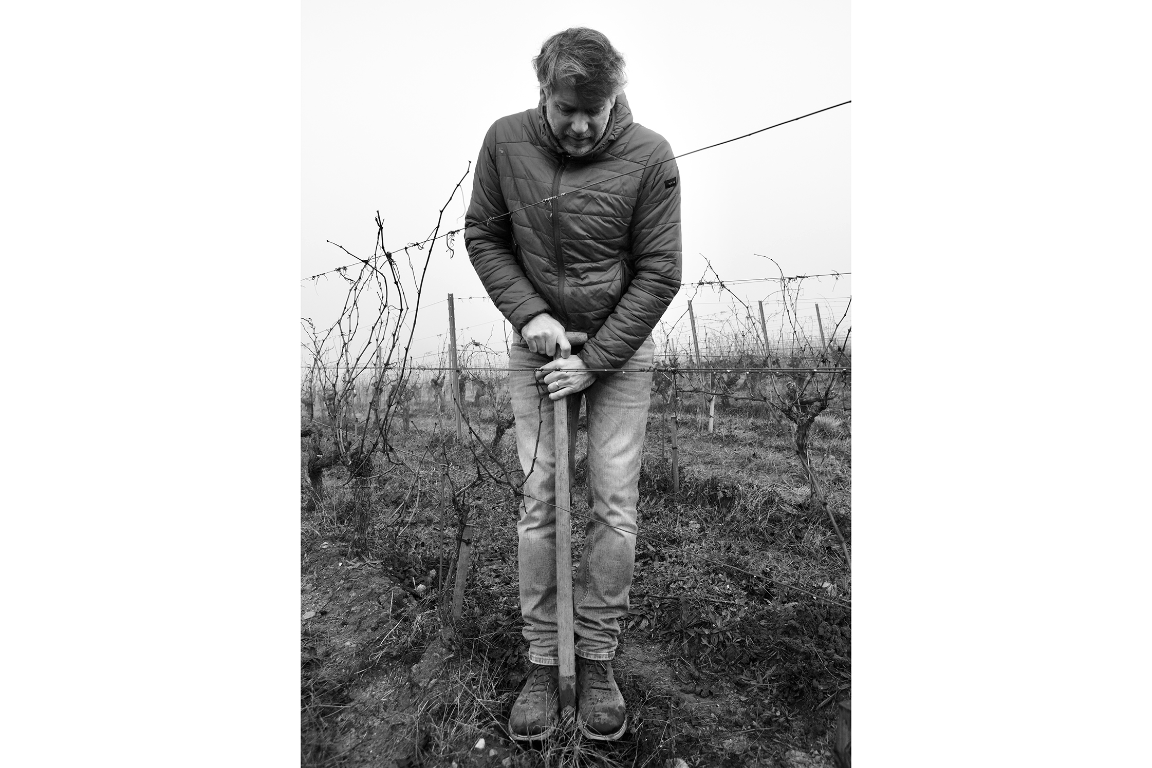 Arnauld Lambert in the vineyards