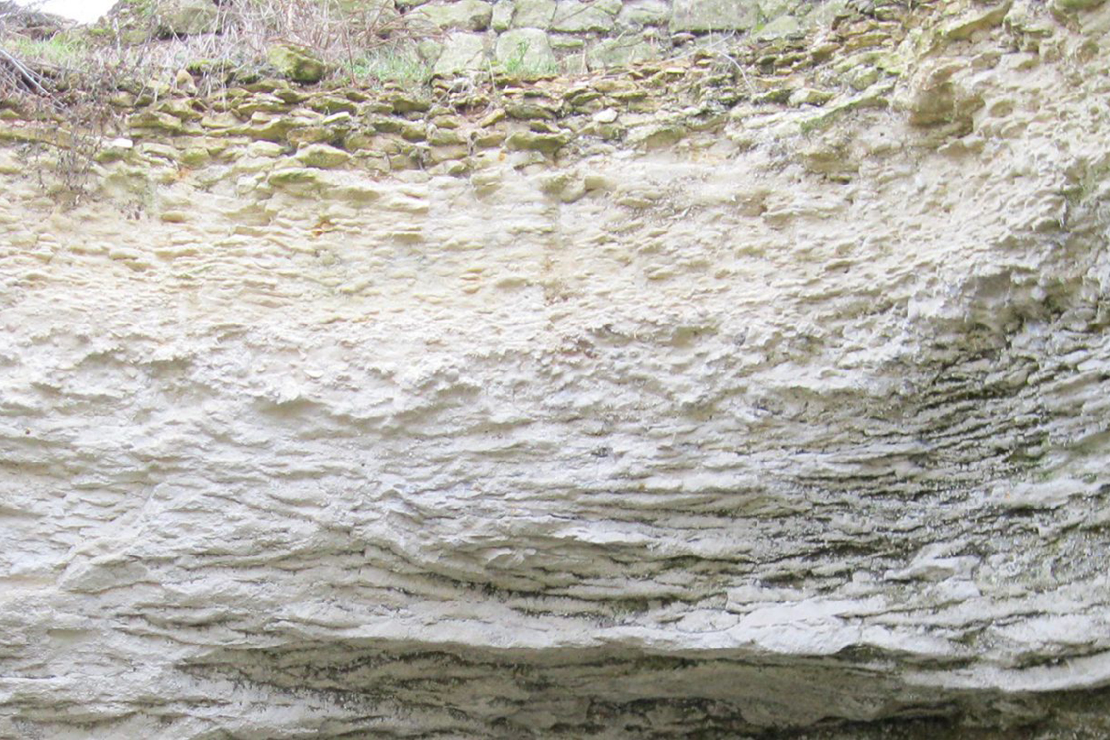 Tuffeau soil at Le Puy-Notre-Dame