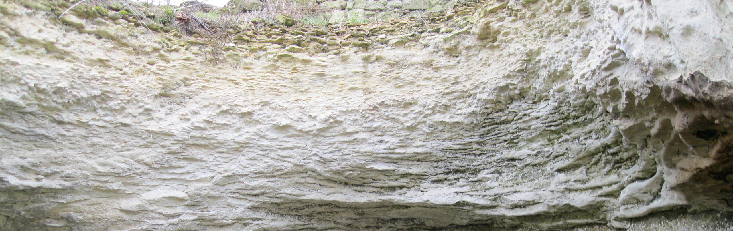 Tuffeau soil at Le Puy-Notre-Dame