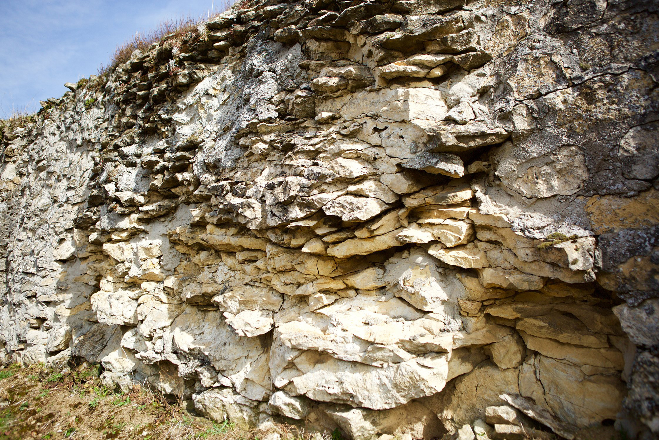 Typical limestones of Rheinhessen, Westhofen