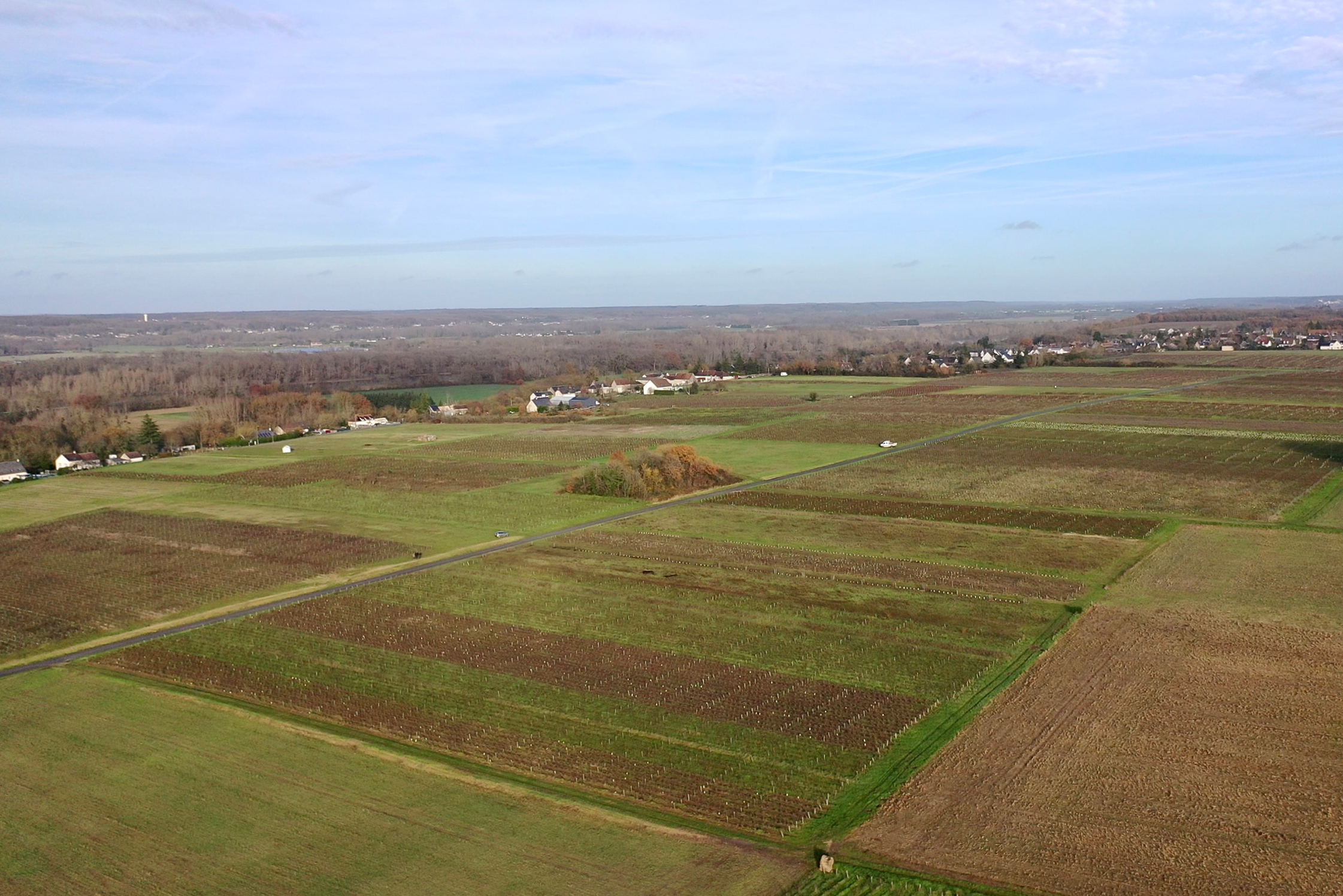 Aerial view of the Maison Marchandelle vineyard, late Fall 2024