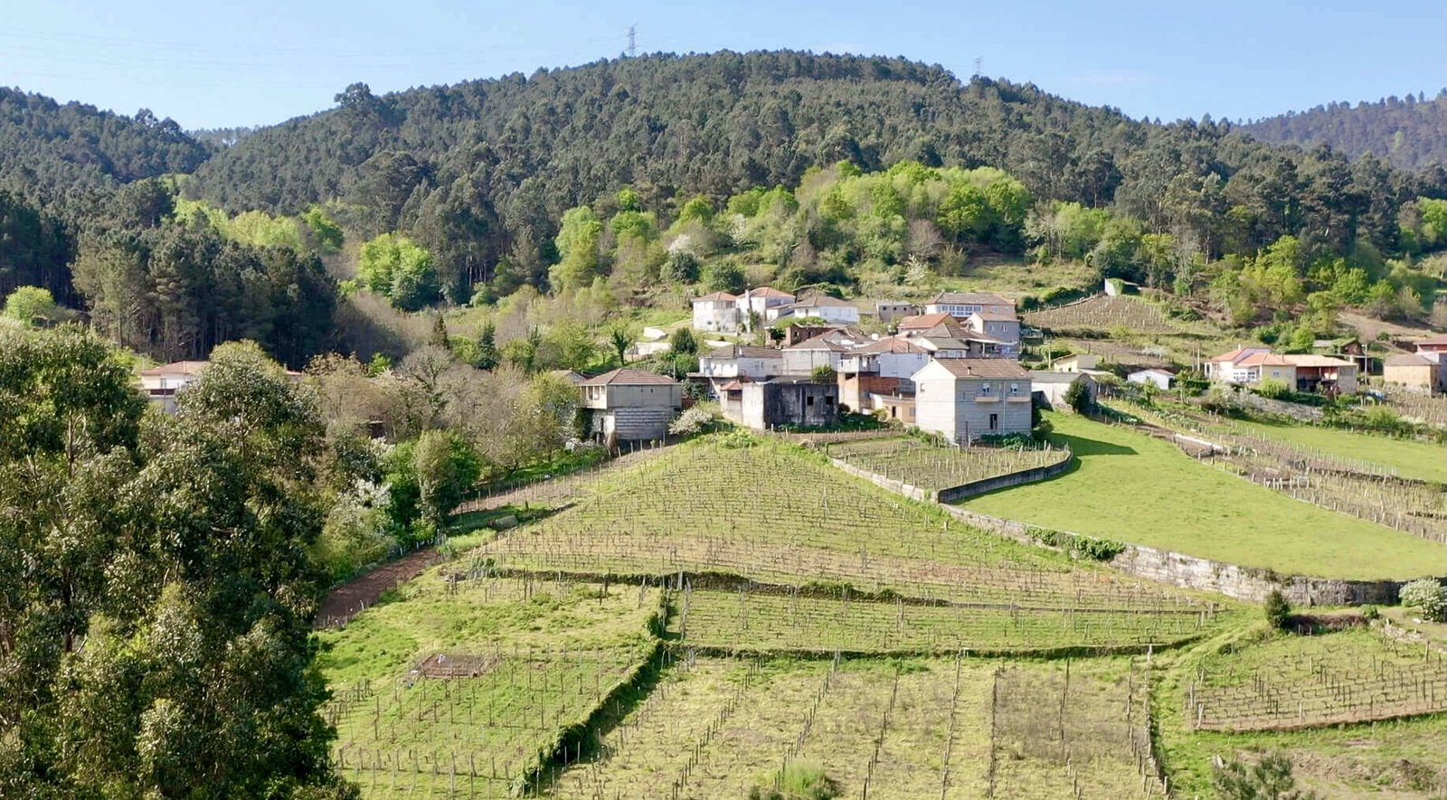 Village and terraced vineyards in the Ribeiro
